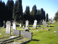 Roe Hill: old cemetery